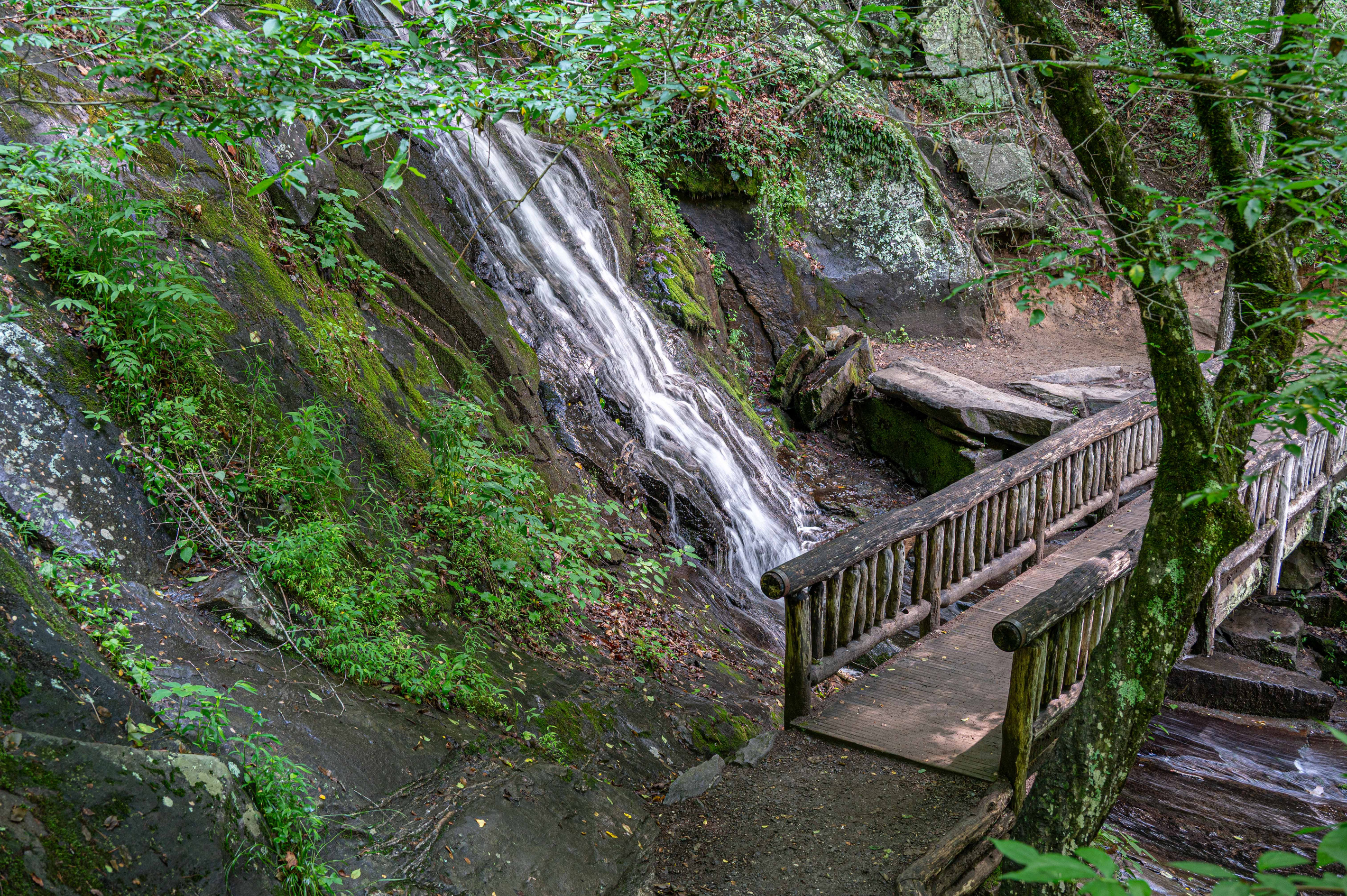 Nature’s Hideaway: Stroll over the charming bridge to discover a tranquil waterfall oasis!