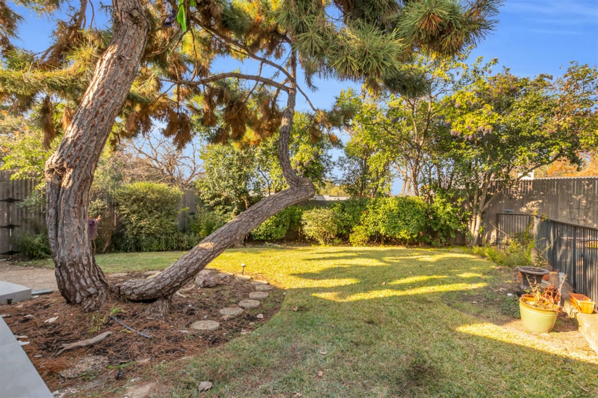 Spacious green backyard featuring a mature, large tree that provides natural shade and a peaceful, nature-filled setting, ideal for relaxing, enjoying fresh air, and unwinding outdoors.