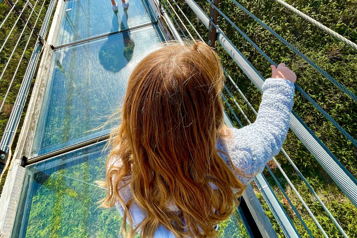Walk across the glass sky bridge in Gatlinburg, if you dare!