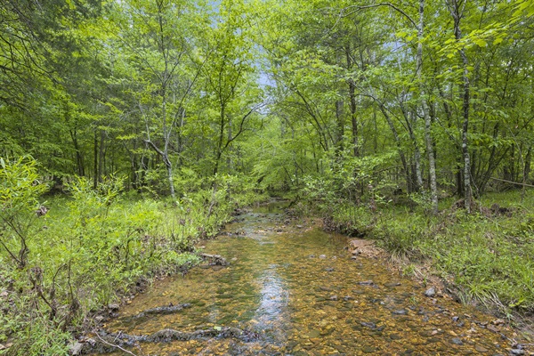 Wander down by your own private creek and wade, splash, skip stones, or simply sit and relax