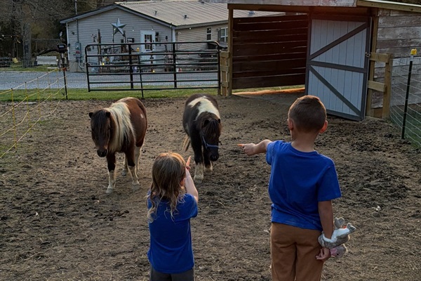 We feed Maui and Moana two times a day. Your family is welcome at all of them.