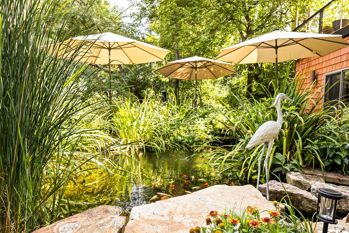 With wild birds, deer wandering by, and the Koi watching for you to feed them there is no better place to catch your breath and relax.