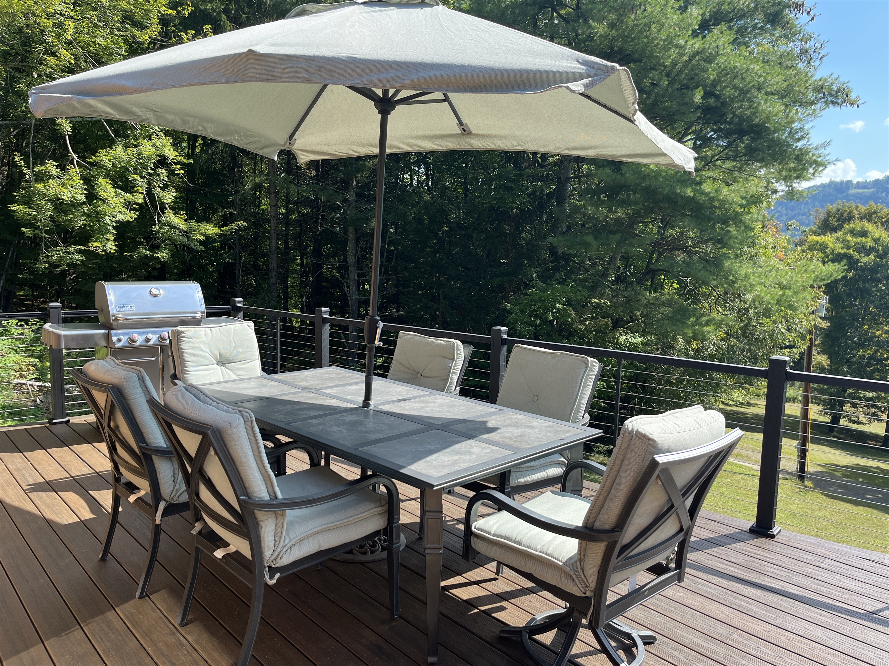 Outdoor dining and grill