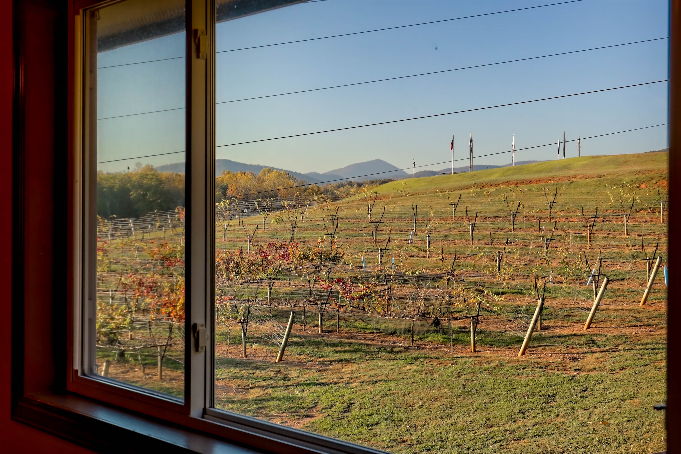 Wake up to peaceful views of the vines and rolling hills