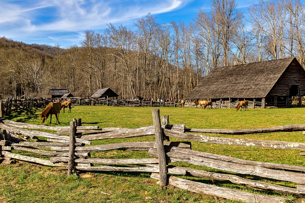 Oconalauftee visitor center is a hidden gem for the family! Located a few miles away in Cherokee at the entrance to the National Park