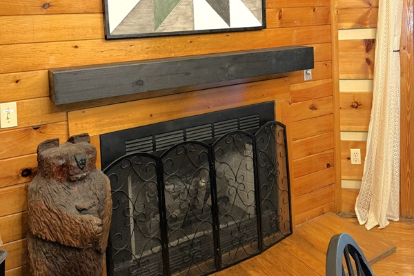 Gas Fire Place