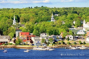 View of Downtown Bucksport from the Narrow's bridge