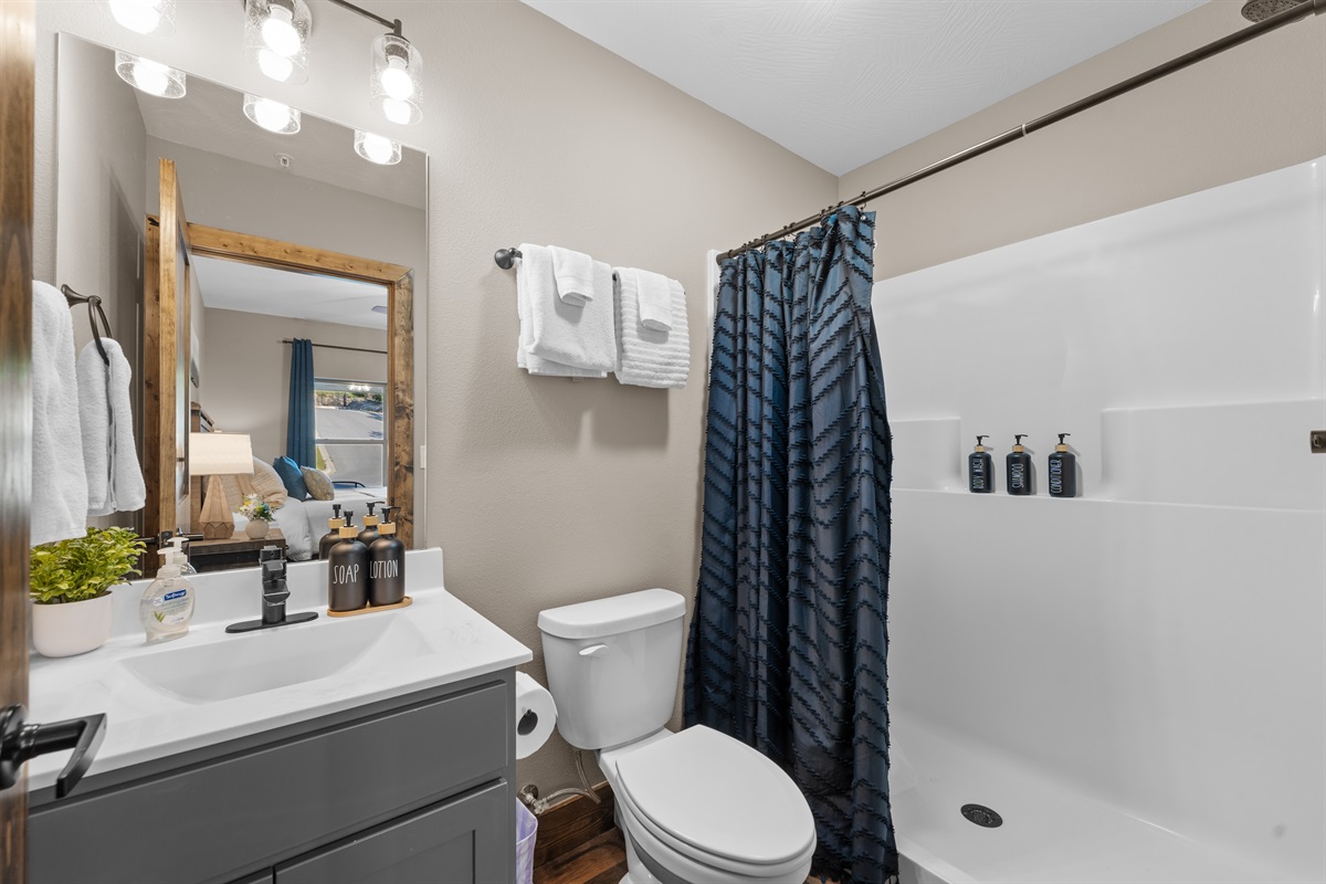 Modern ensuite bath with walk-in shower attached to the upstairs king.