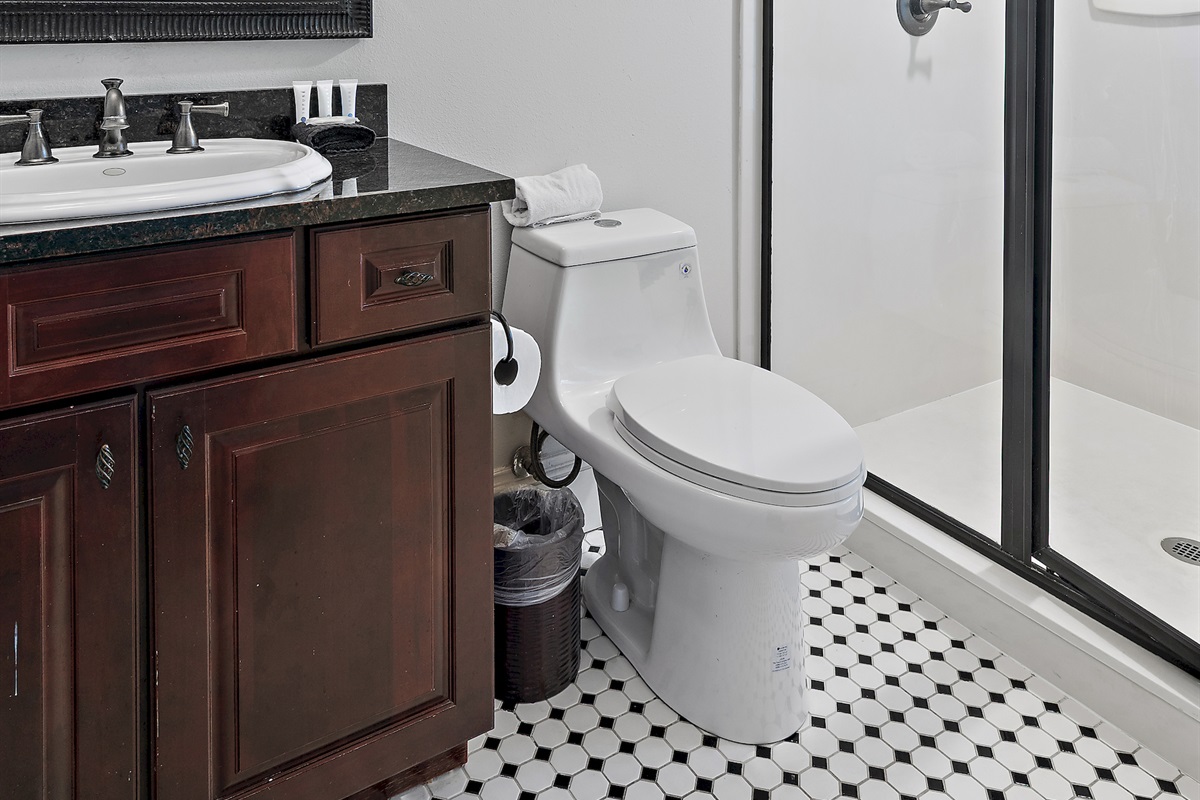 Ensuite Bath 2