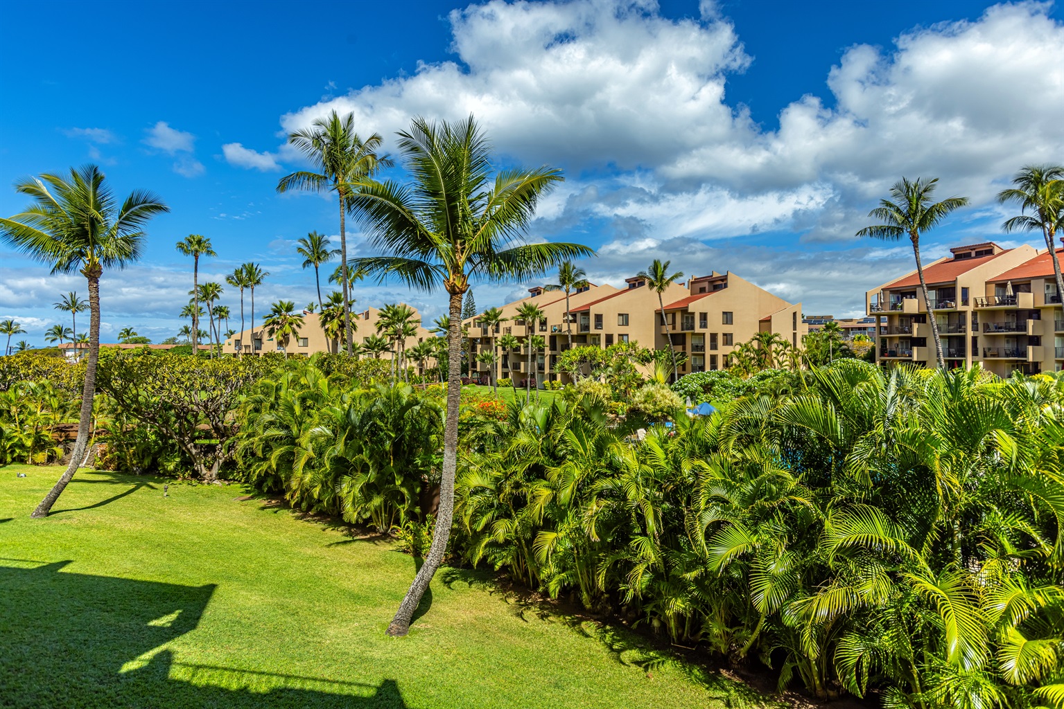 Kamaole Sands is a tropical paradise right across from the ocean!