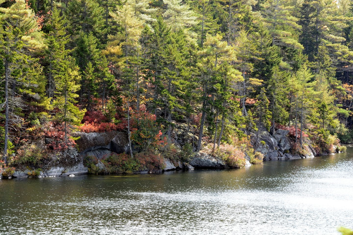 Our swimming hole's rocky shoreline is lots of fun to explore.