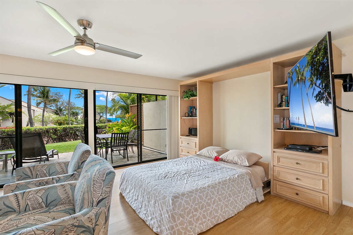 Another view of the livingroom with the queen-size Murphy bed down, TV