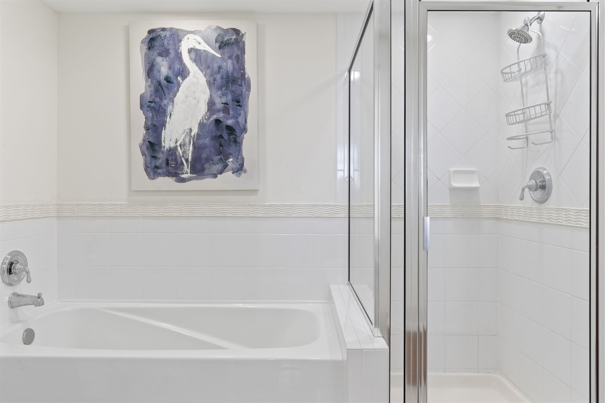 Separate Tub/shower Master 2: