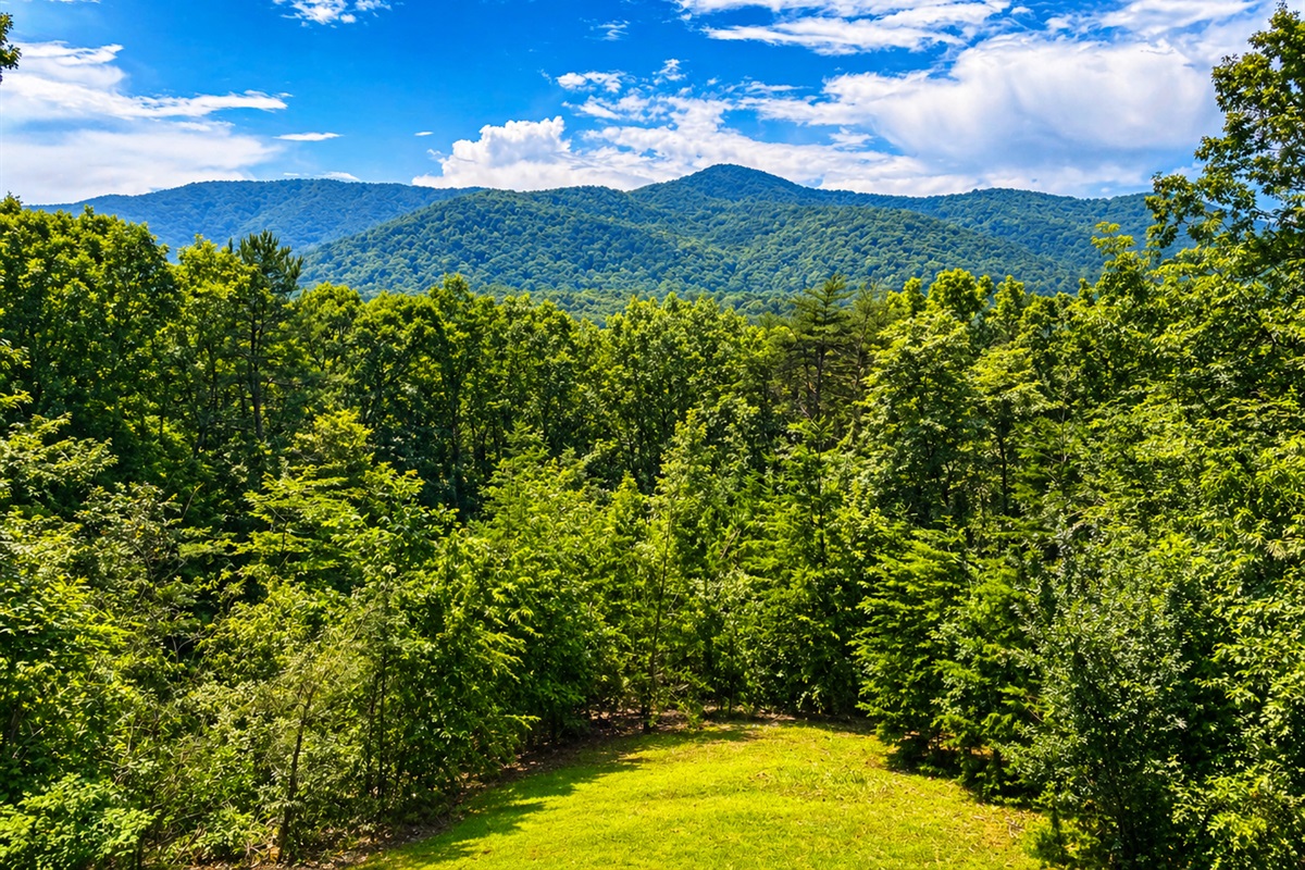 Spring & Summer Views are stunning!