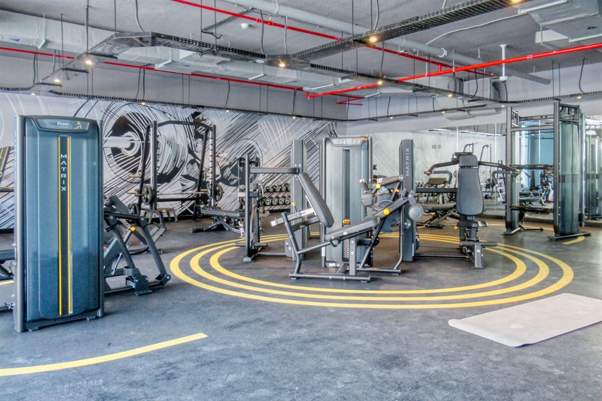 Wonderful and modern gym