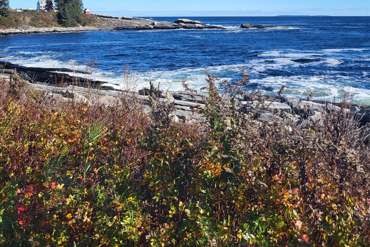 Pemaquid Point Loop Road