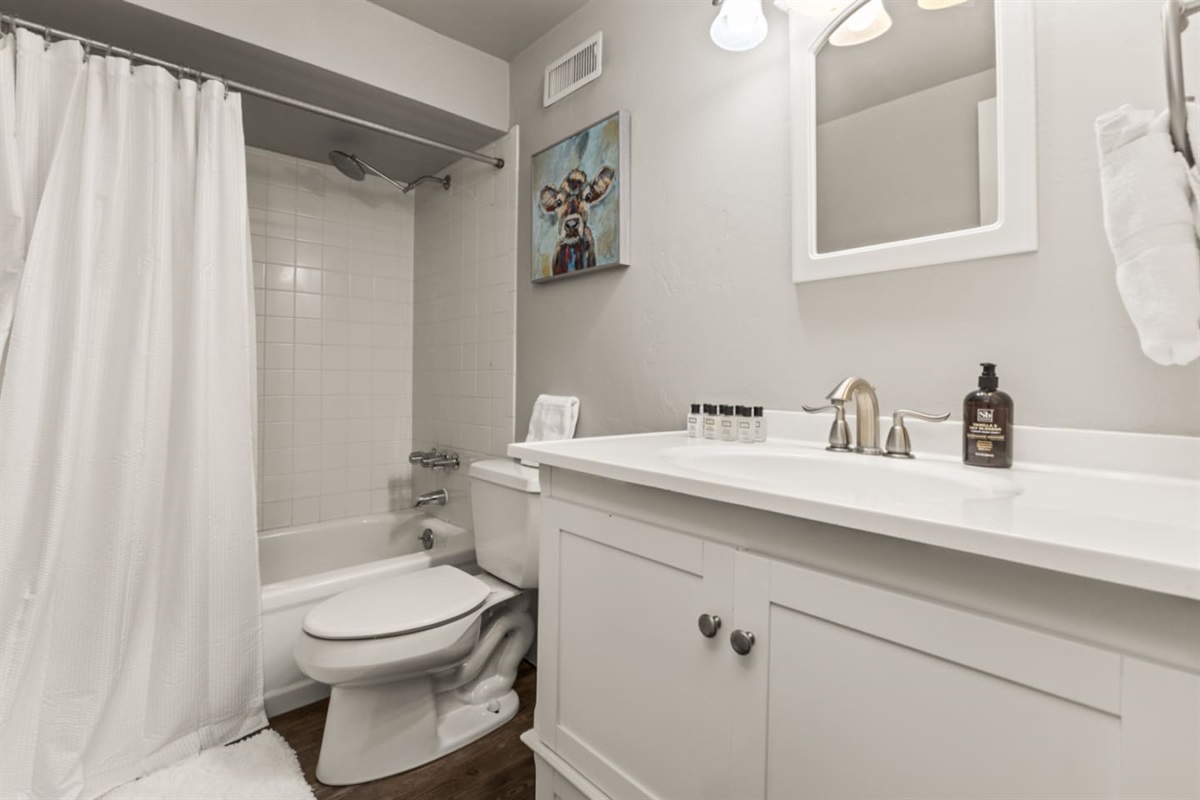 Downstairs Bathroom #3 | Shower and Bathtub | Toilet