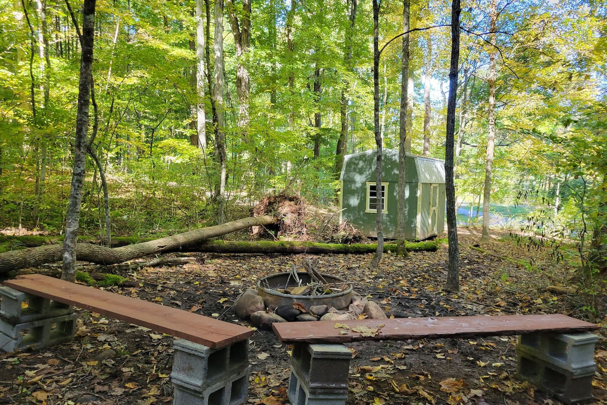 Backyard