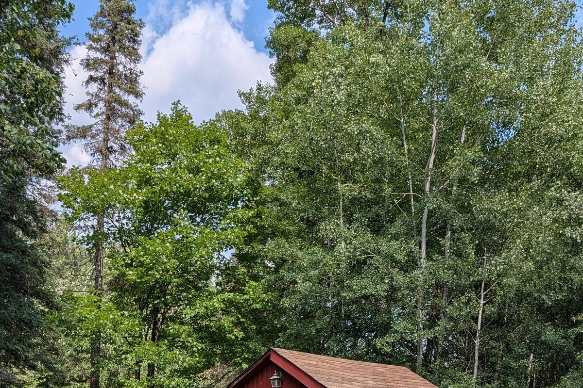 Wood-fire sauna
