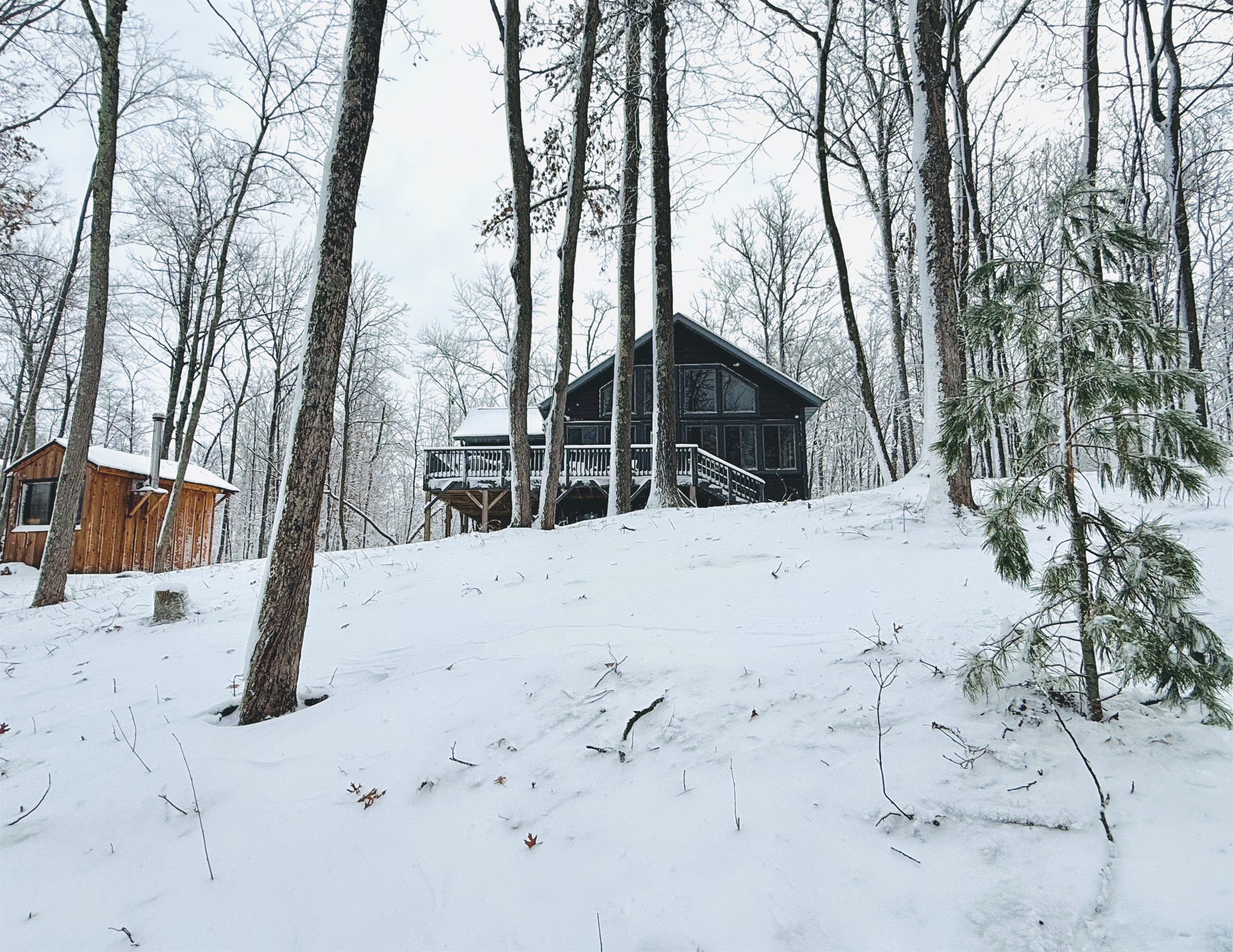 Welcome to Cattail Chalet!