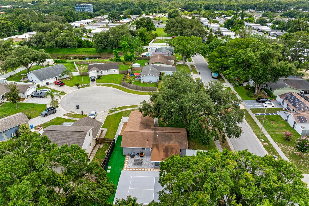 Aerial View of the Neighborhood
