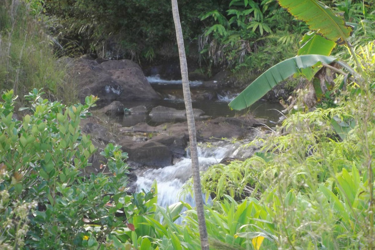 Hiking along the river.