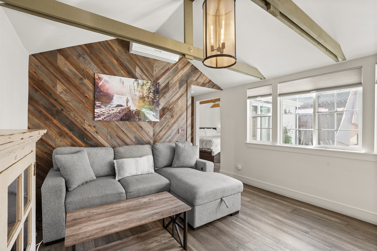 Living room with smart TV and sleeper couch