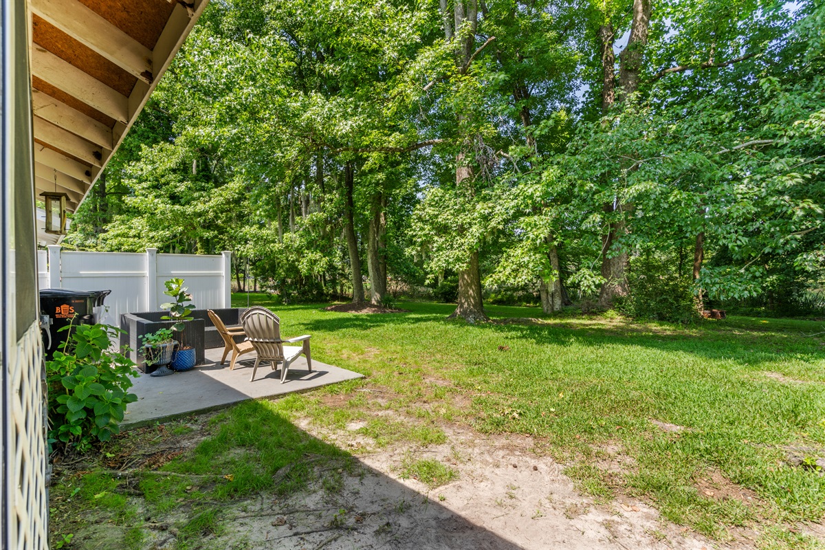 Wooded backyard