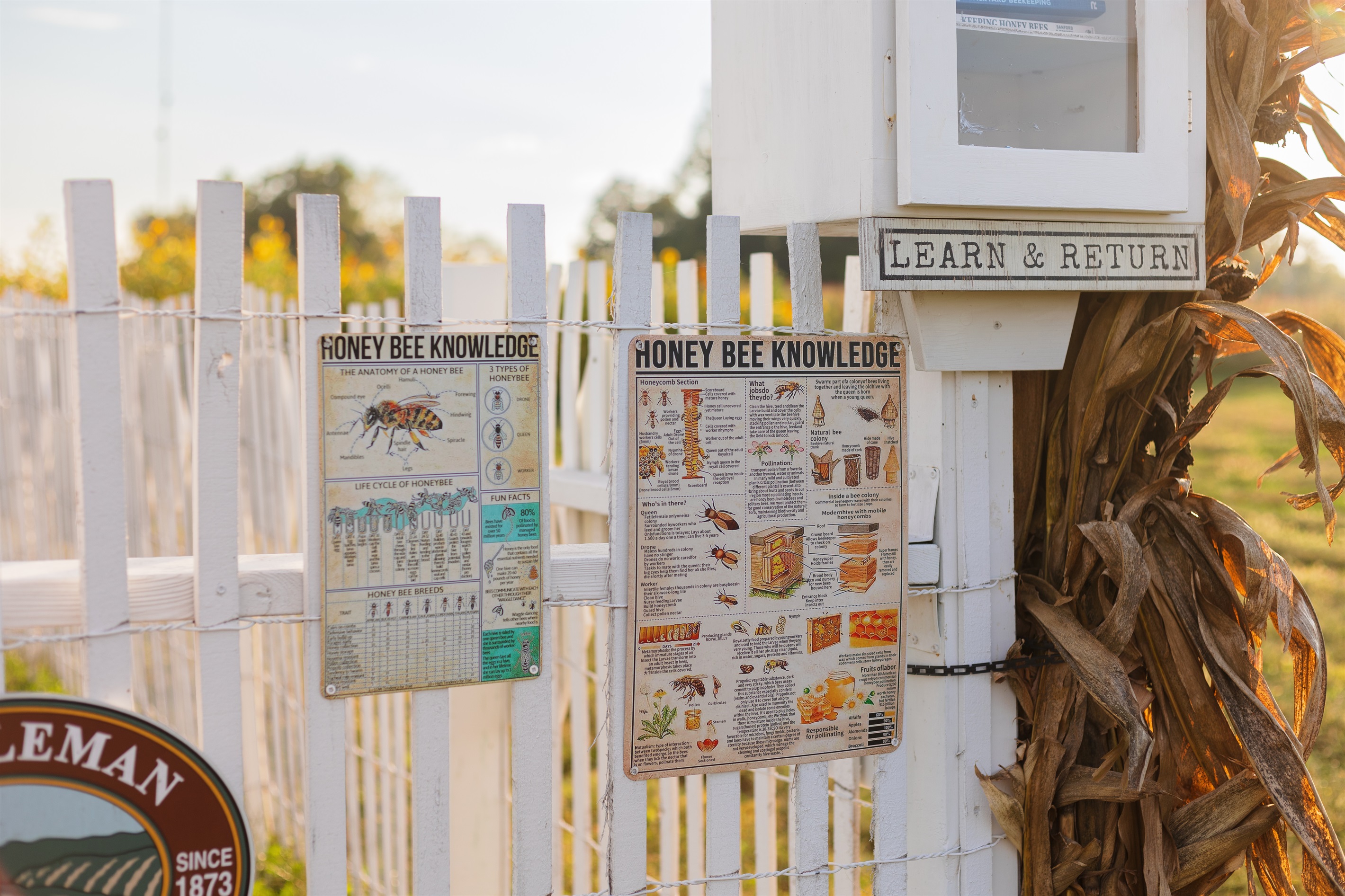 Bee Keeping farm on the farm!