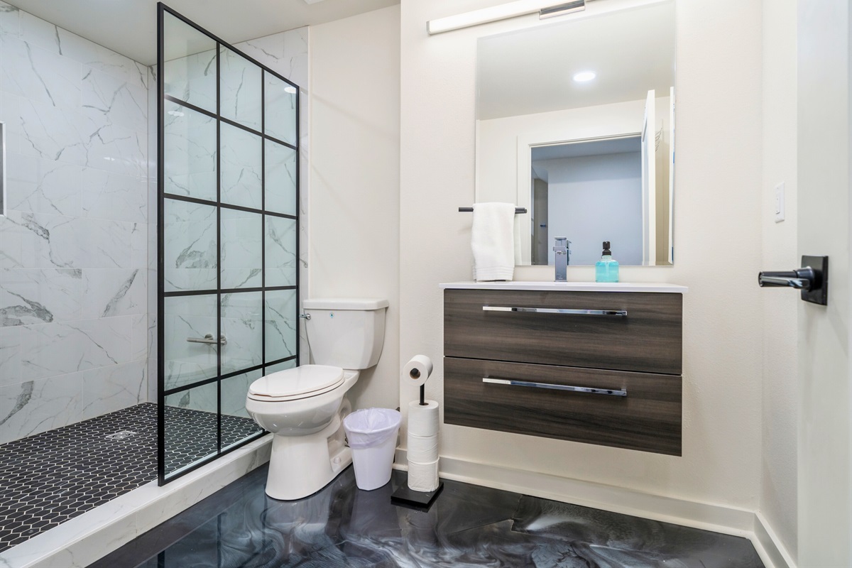 Lower Level Bathroom with Glass Shower