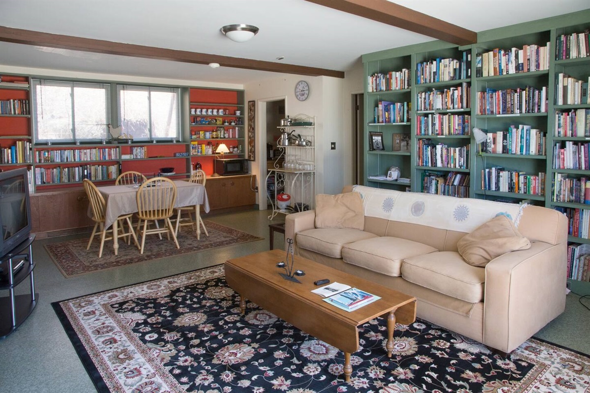 Living Area with Queen size pull-out couch.