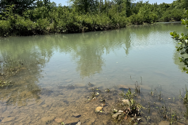 Shallow river area ideal for relaxing, exploring, or wildlife viewing (May 2025).