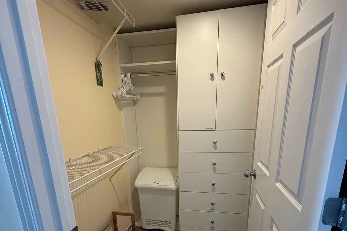 Main Bedroom Walk-in Closet