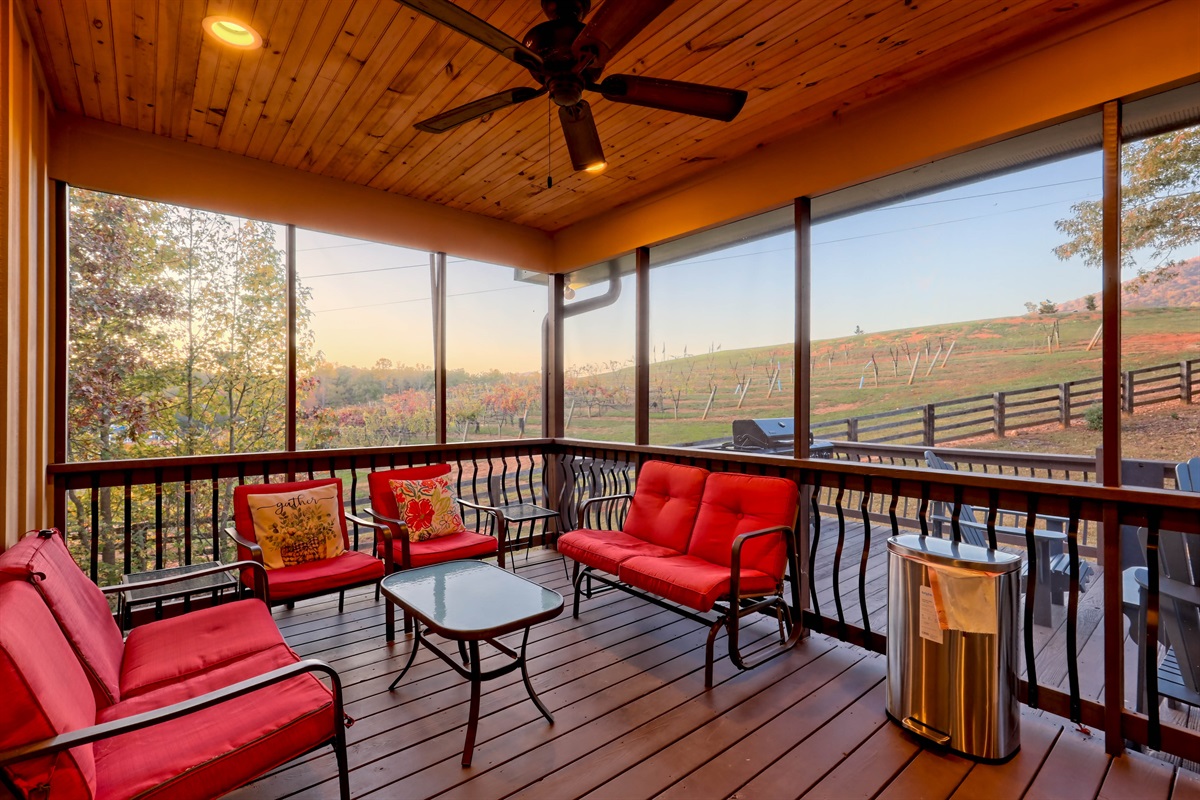 Cozy seating on the screened porch offers peaceful vineyard views—great for morning coffee or evening wine