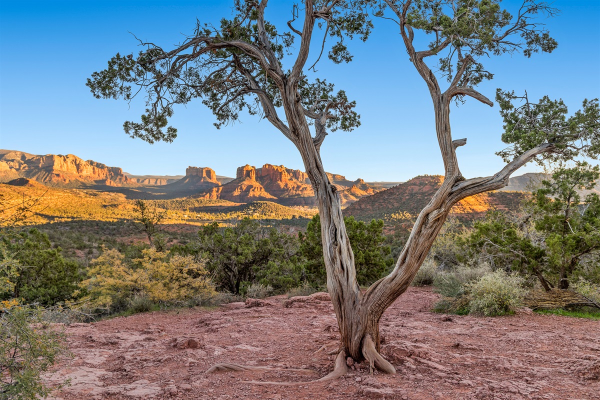 Experience Sedona’s natural beauty just moments from the home, where red rock formations, desert trails, and open skies define the landscape.