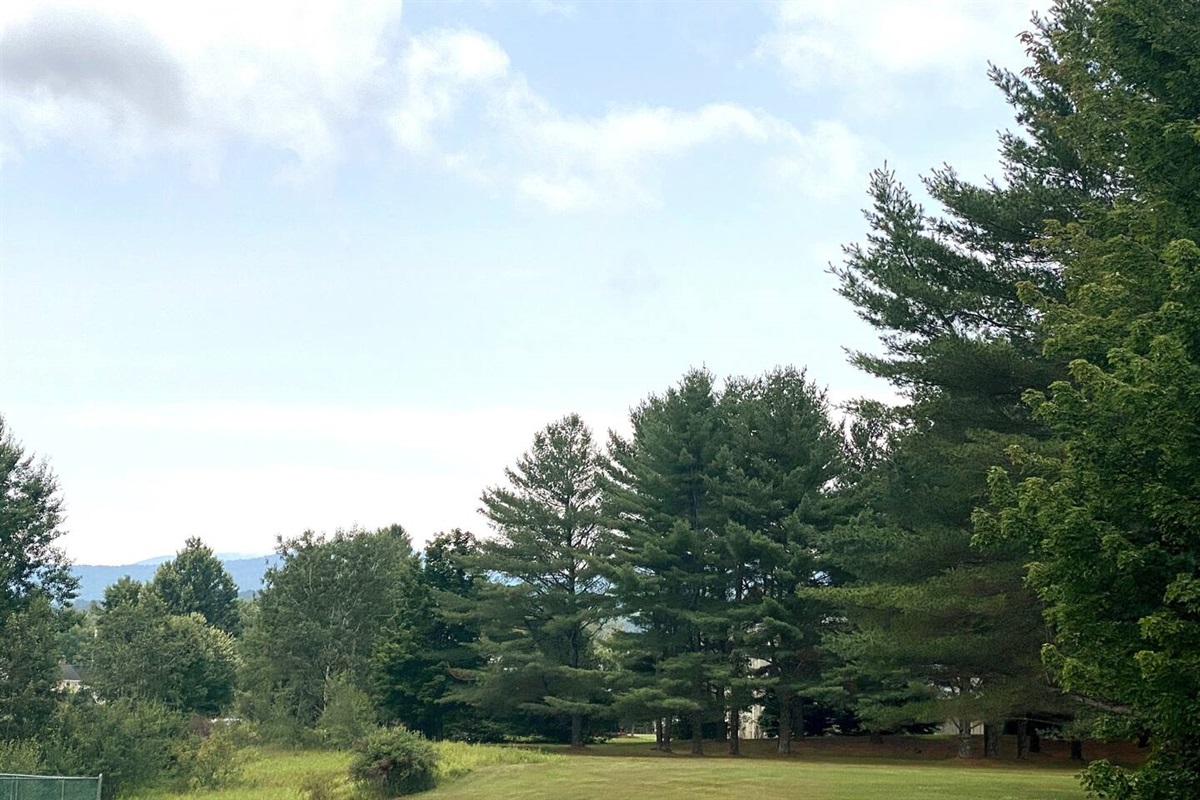 Beautiful green spaces to enjoy.