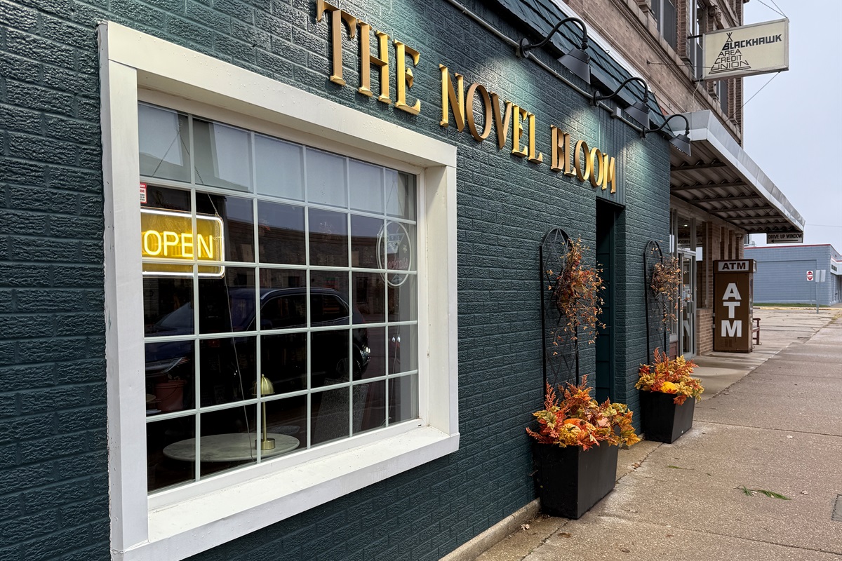 The Novel Bloom, 3 blocks from the house