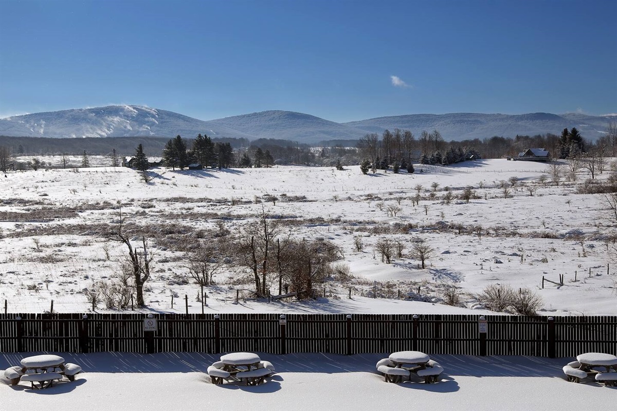 Views of the slopes in the distance