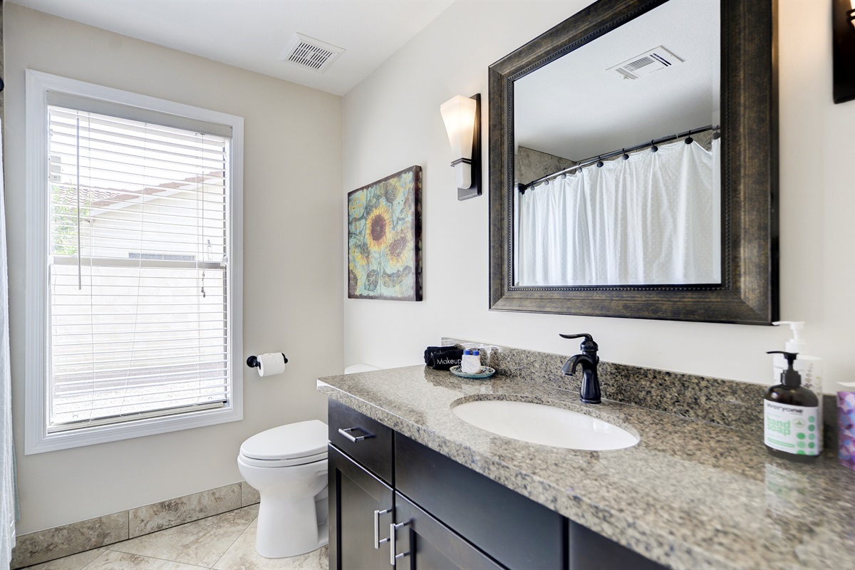 Guest Bath Shower and Tub Combo