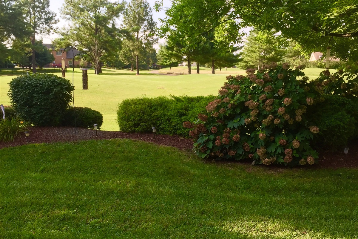 Golf course views from patio