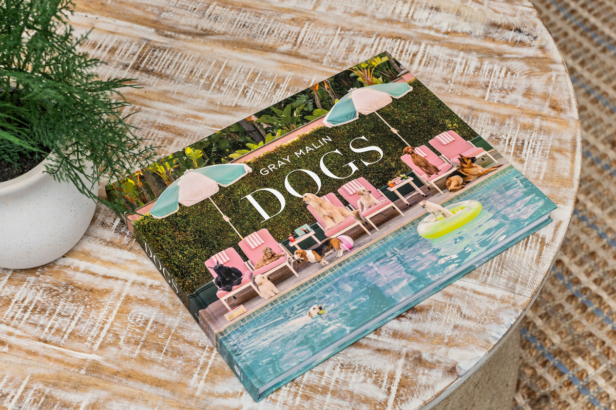 Tail wags, beach walks, and unforgettable memories - your four-legged family members are welcome here.
