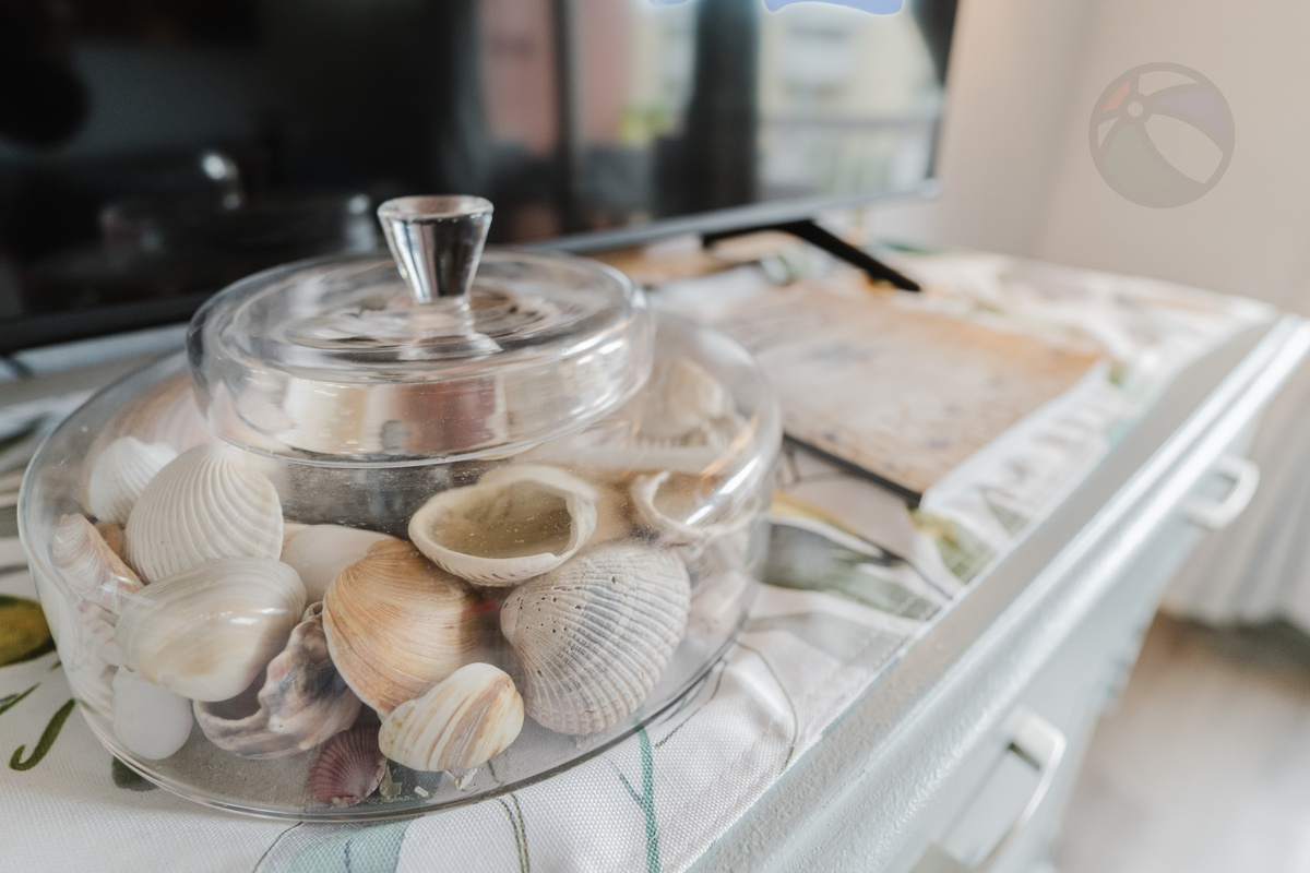 Have a shell-a-bration