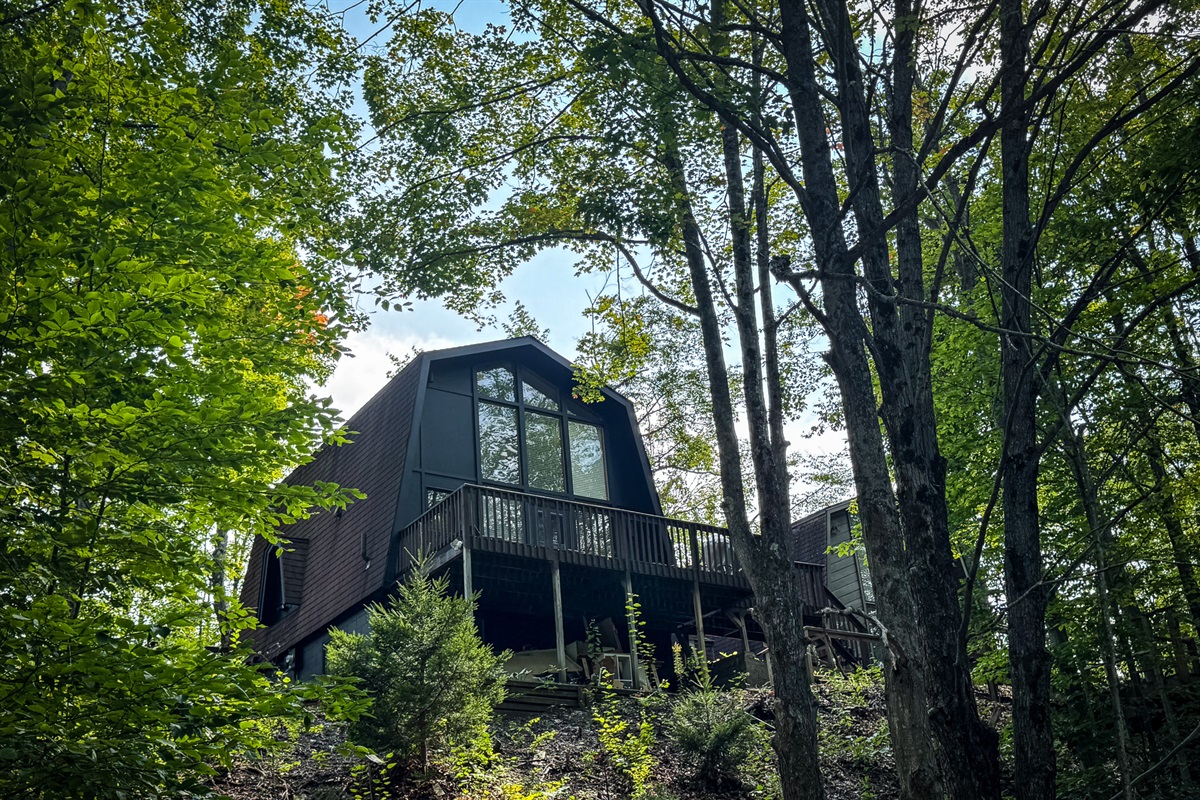 Treetop Chalet at the top of Harbor Bluffs Association