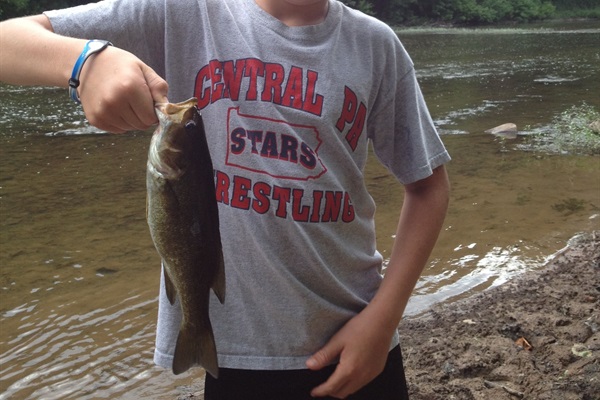 nice bass