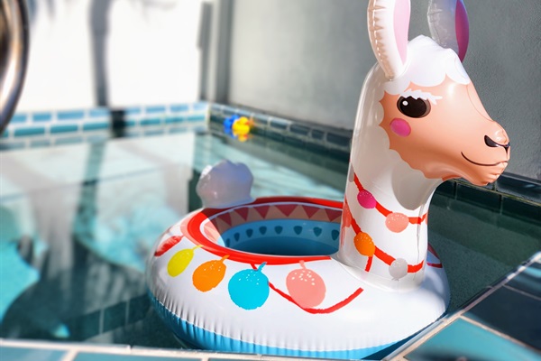 Take a dip in the plunge pool