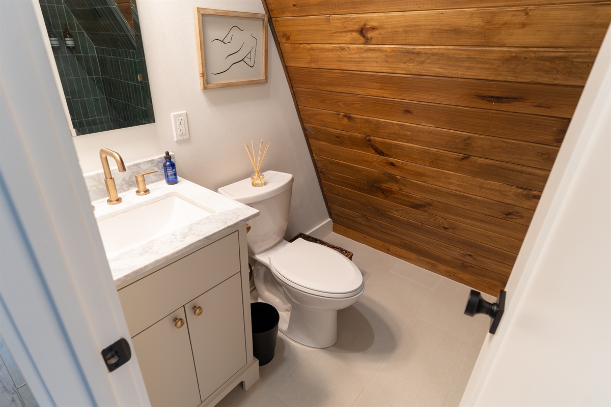 Comeback Upstairs Master Bathroom