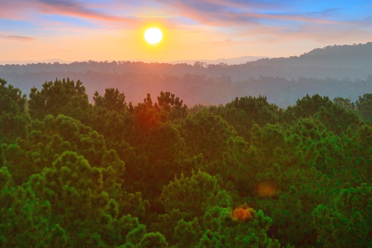 Serene Sunset View: Wake up to breathtaking sunrises over tranquil pine forests!