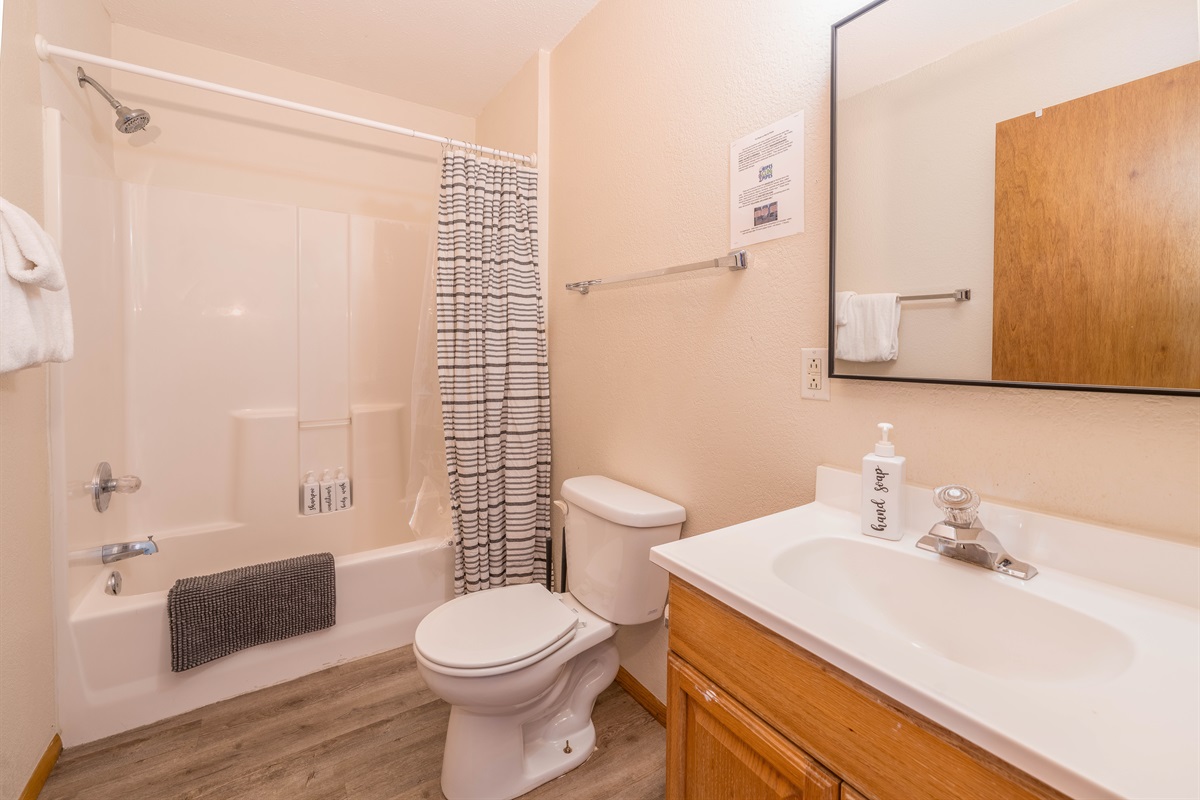 Bathroom 1- Shower/Tub Combo