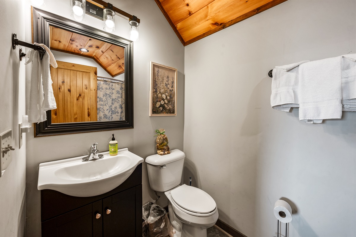Lower Level full bathroom