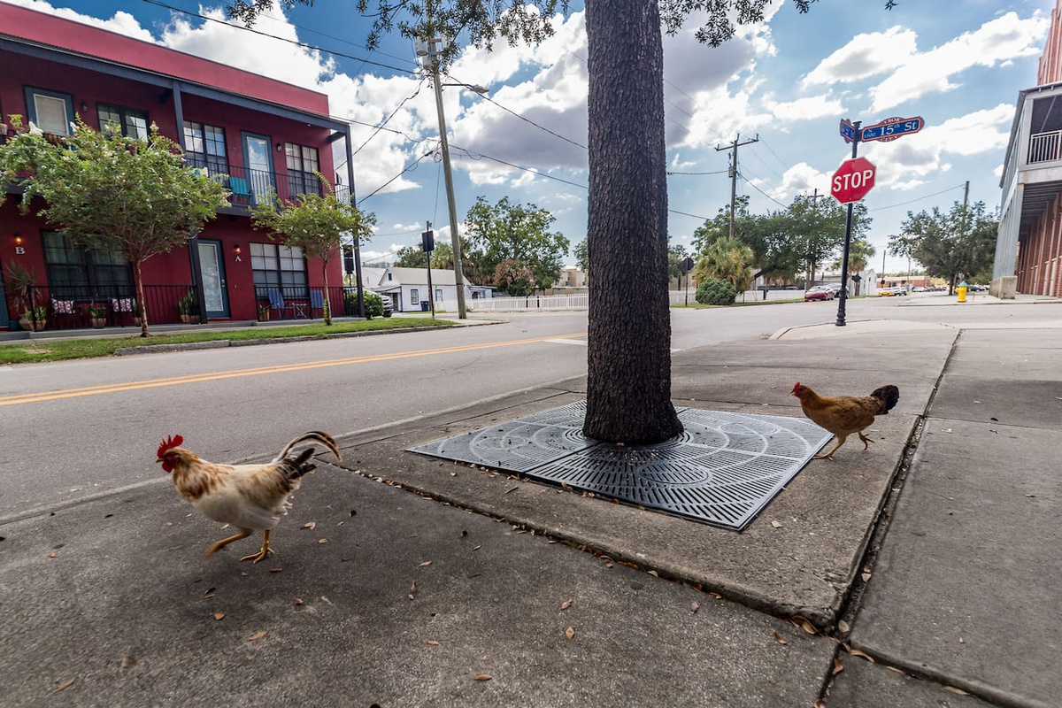 Locals